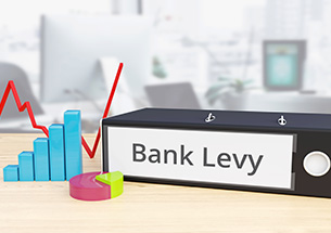 Bank Levy - Finance/Economy.